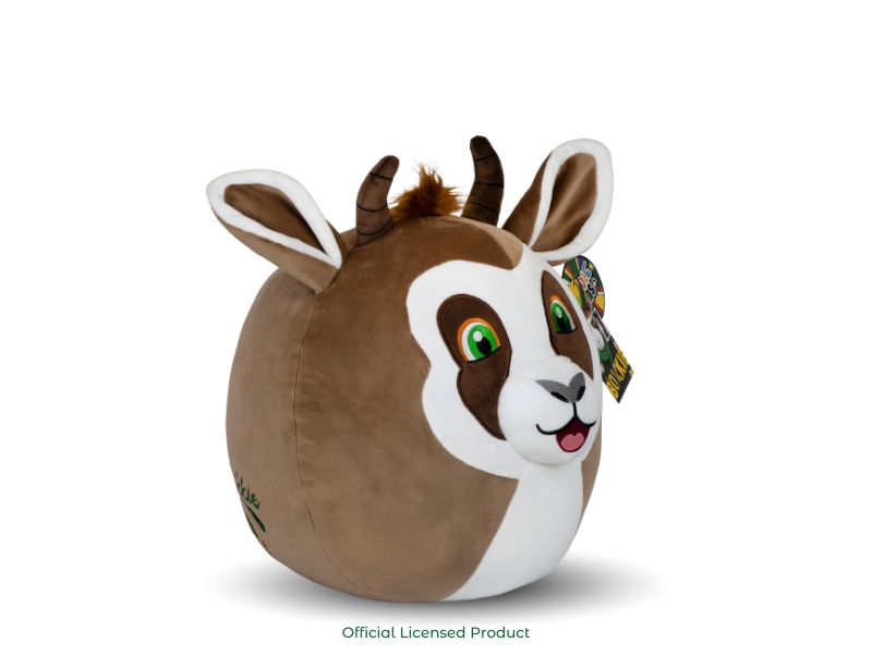 Product image_ Bokkie (4).jpg